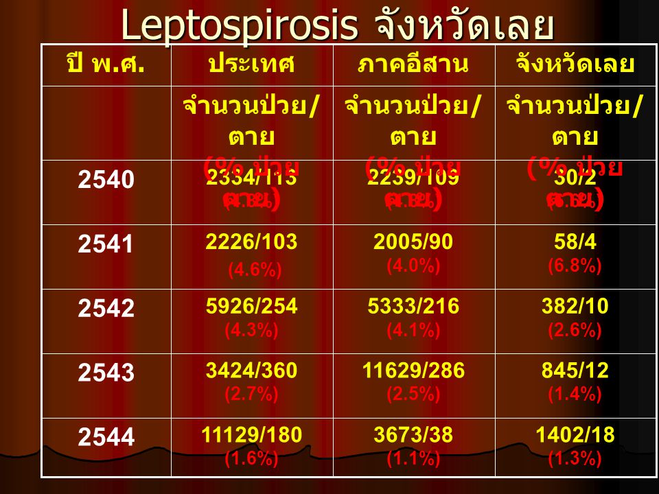 Leptospirosis จังหวัดเลย