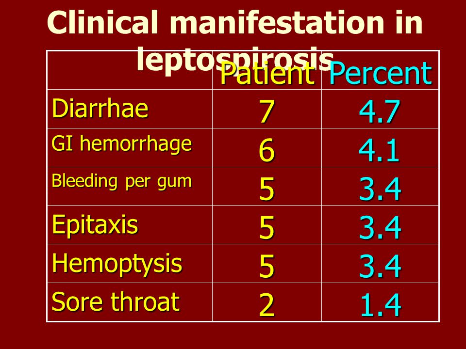 Clinical manifestation in leptospirosis