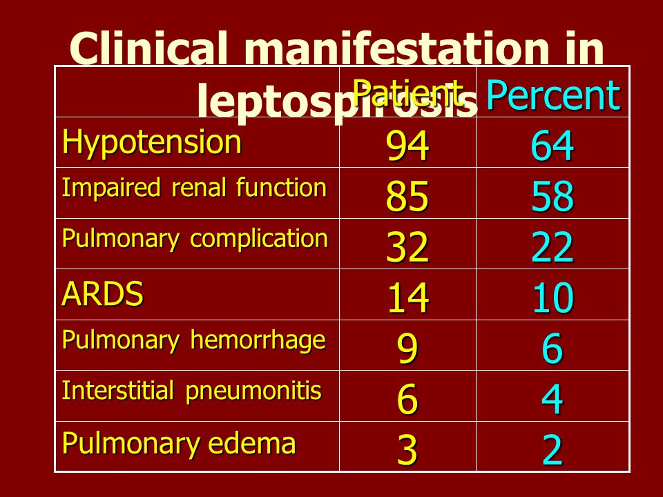 Clinical manifestation in leptospirosis