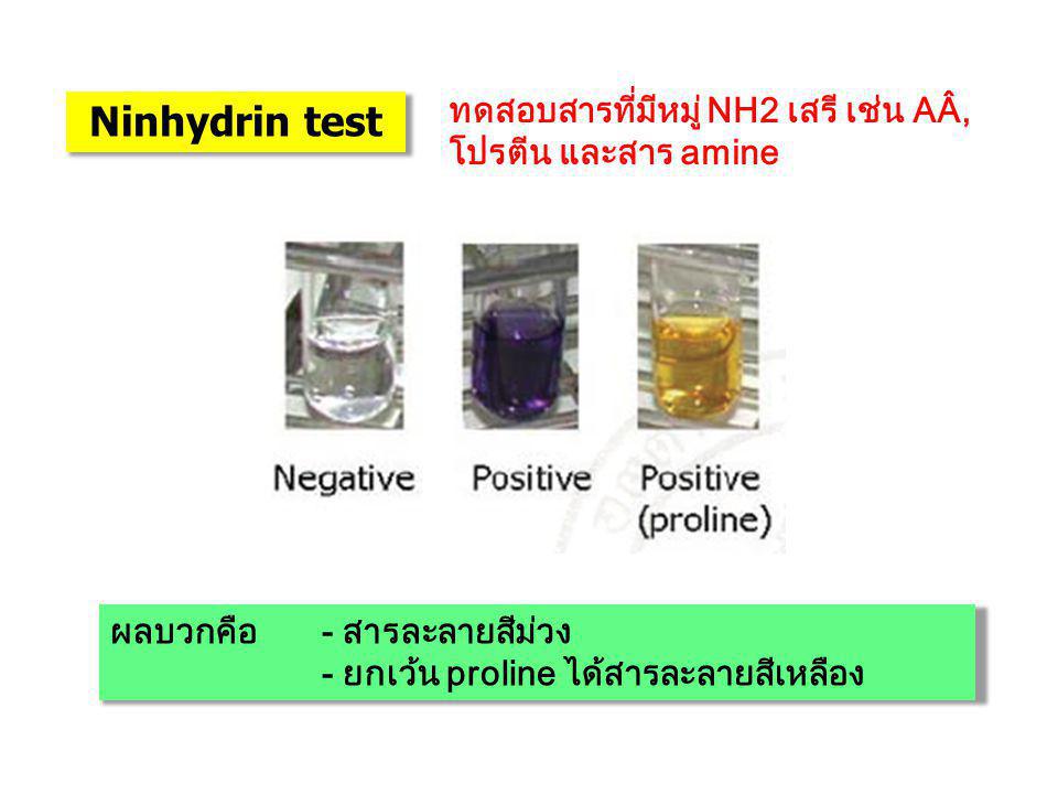 Ninhydrin test ทดสอบสารที่มีหมู่ NH2 เสรี เช่น AÂ, โปรตีน และสาร amine