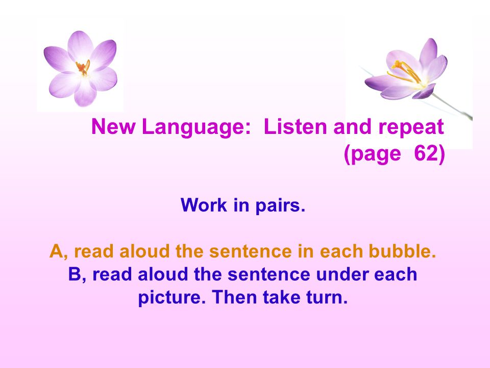 New Language: Listen and repeat (page 62)