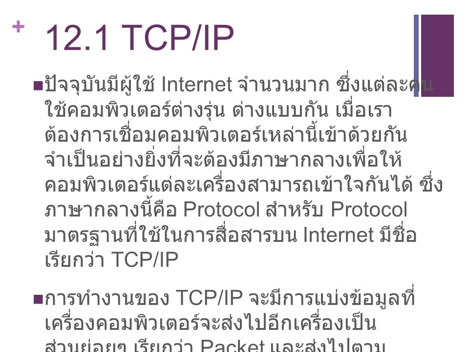 12.1 TCP/IP