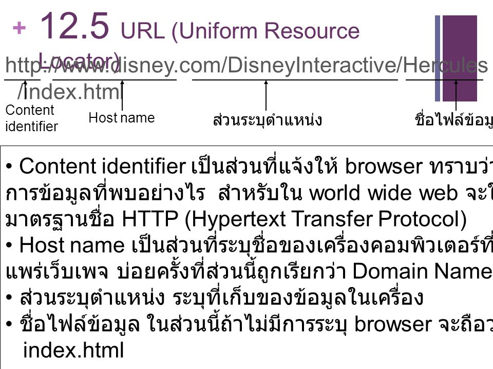 12.5 URL (Uniform Resource Locator)