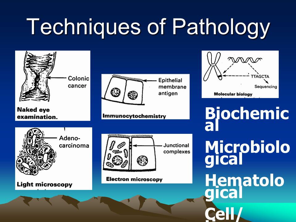 Techniques of Pathology