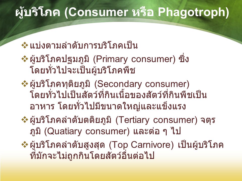 ผู้บริโภค (Consumer หรือ Phagotroph)