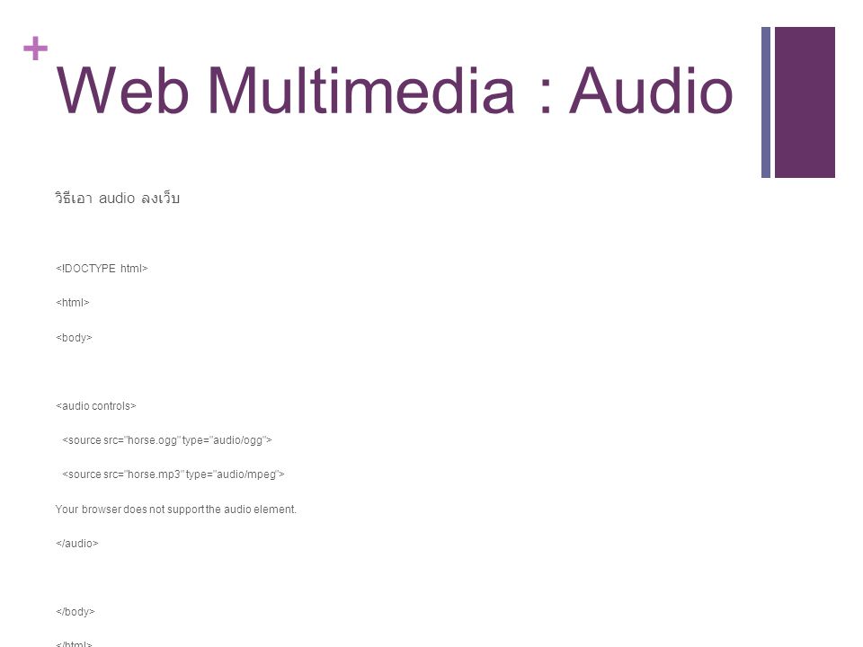 Web Multimedia : Audio วิธีเอา audio ลงเว็บ <!DOCTYPE html>