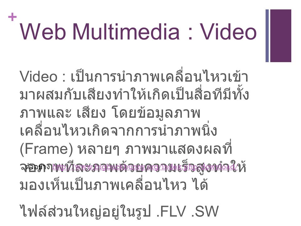 Web Multimedia : Video