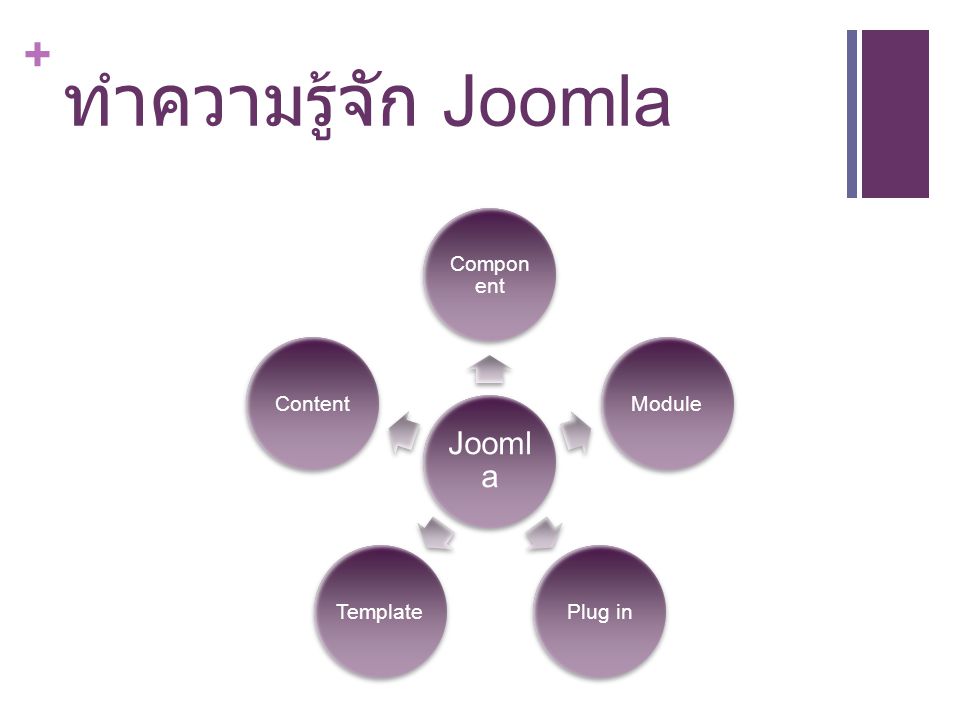 ทำความรู้จัก Joomla Joomla Component Module Plug in Template Content