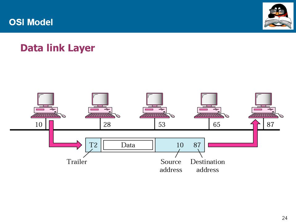 OSI Model Data link Layer
