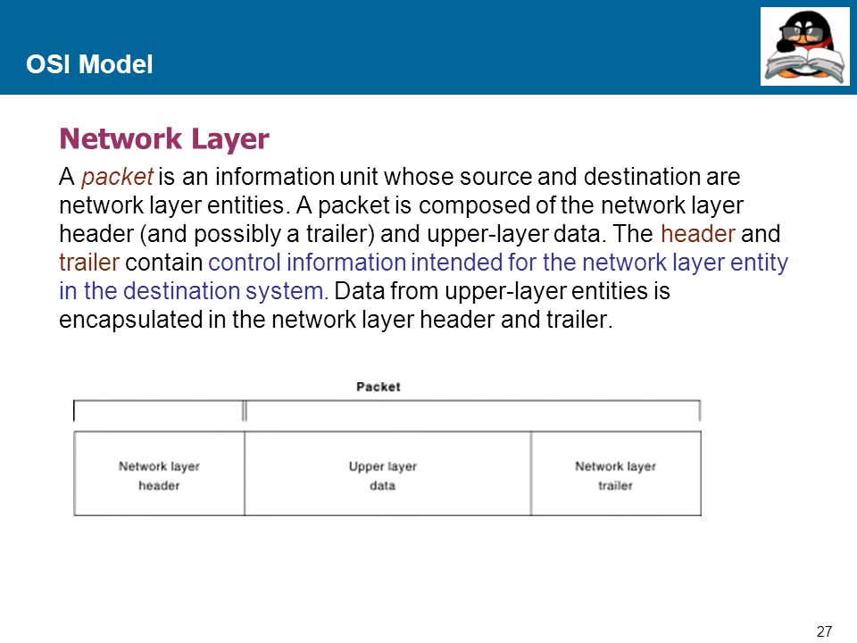 Network Layer OSI Model