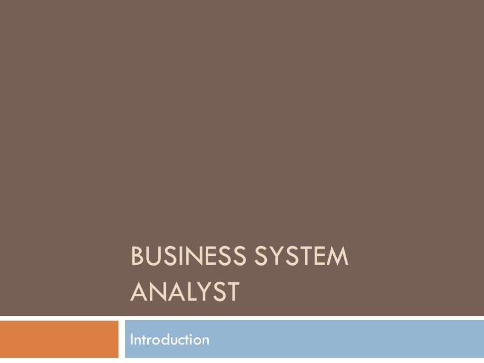 Business System Analyst