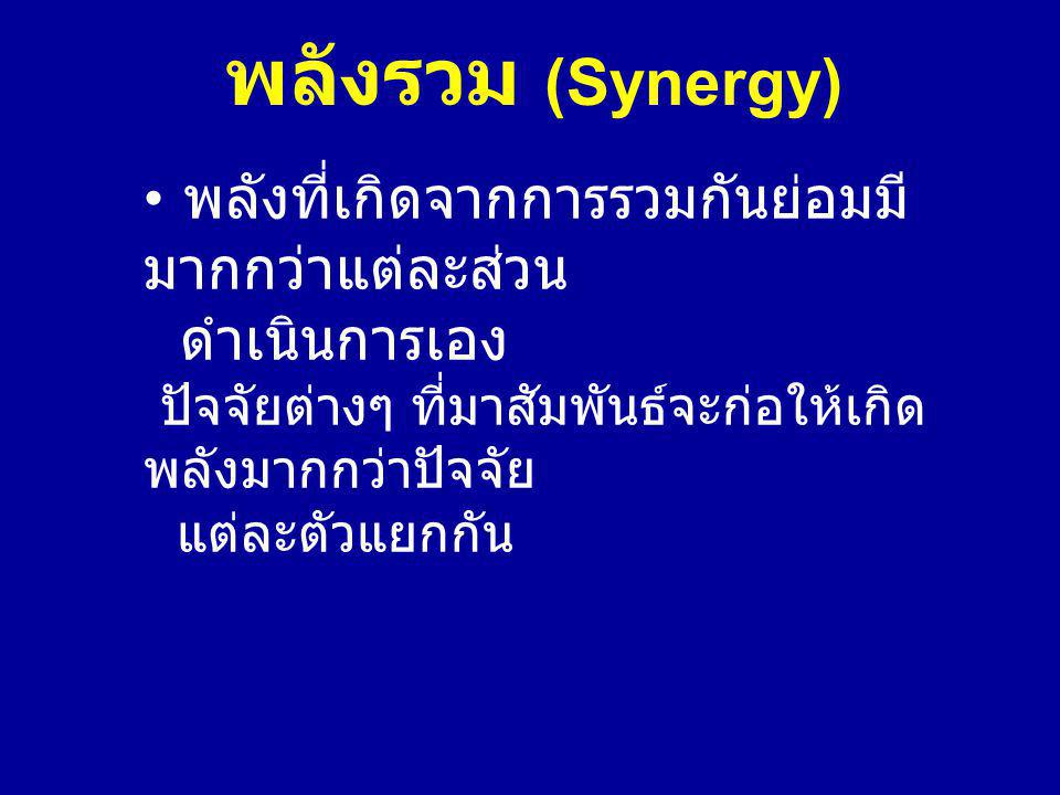 พลังรวม (Synergy)
