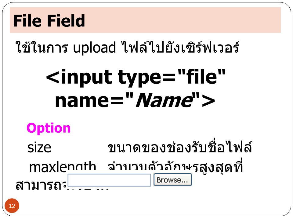 <input type= file name= Name >