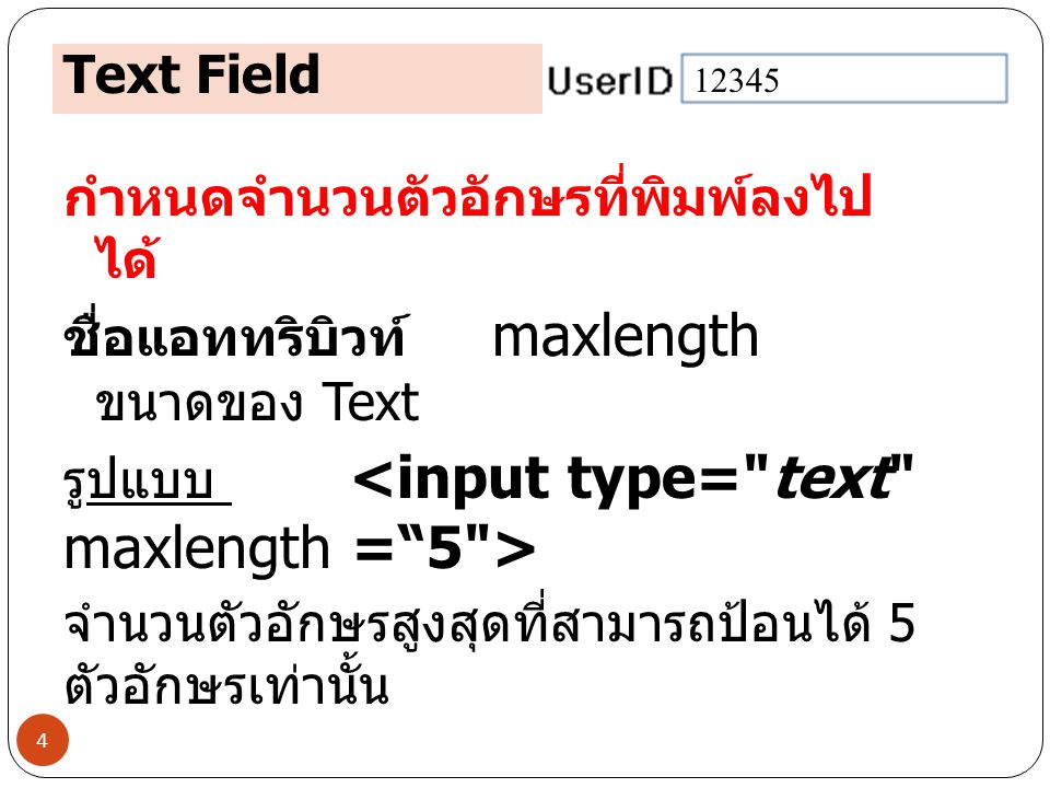 Text Field