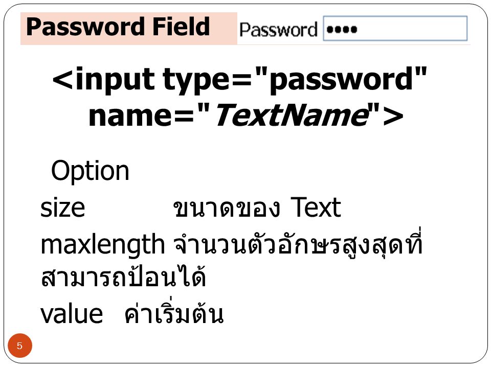<input type= password name= TextName >