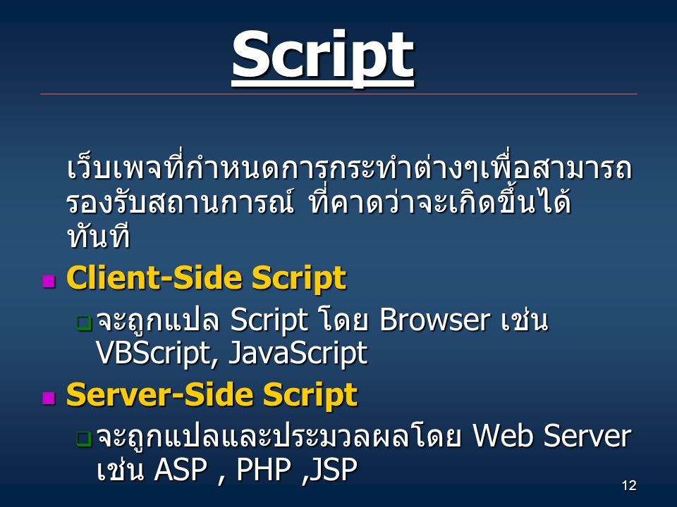 Script เว็บเพจที่กำหนดการกระทำต่างๆเพื่อสามารถรองรับสถานการณ์ ที่คาดว่าจะเกิดขึ้นได้ทันที Client-Side Script.