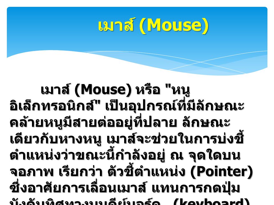 เมาส์ (Mouse)