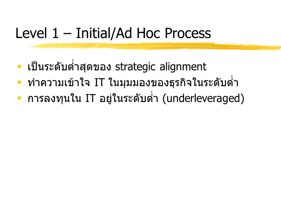 Level 1 – Initial/Ad Hoc Process