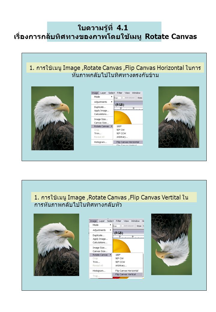 ใบความรู้ที่ 4.1 เรื่องการกลับทิศทางของภาพโดยใช้เมนู Rotate Canvas