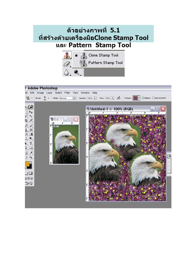 ตัวอย่างภาพที่ 5.1 ที่สร้างด้วยเครื่องมือClone Stamp Tool และ Pattern Stamp Tool