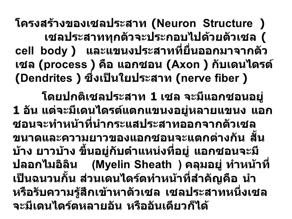 โครงสร้างของเซลประสาท (Neuron Structure )