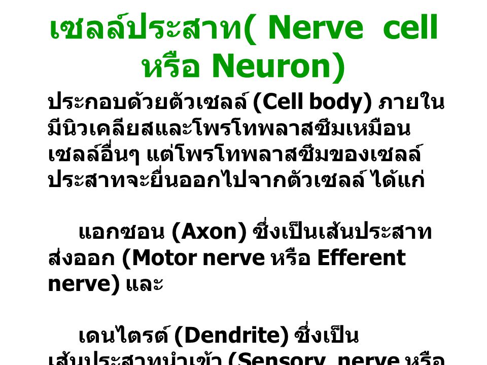 เซลล์ประสาท( Nerve cell หรือ Neuron)