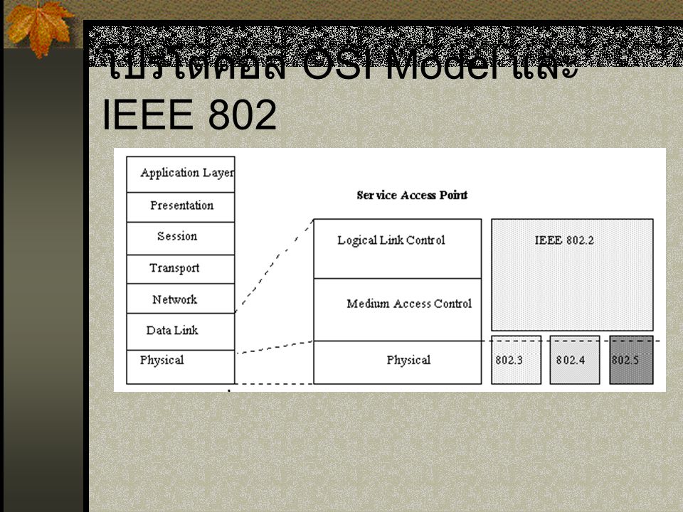 โปรโตคอล OSI Model และ IEEE 802