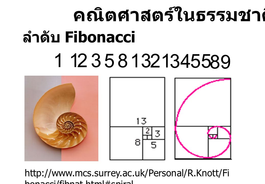 คณิตศาสตร์ในธรรมชาติ ลำดับ Fibonacci