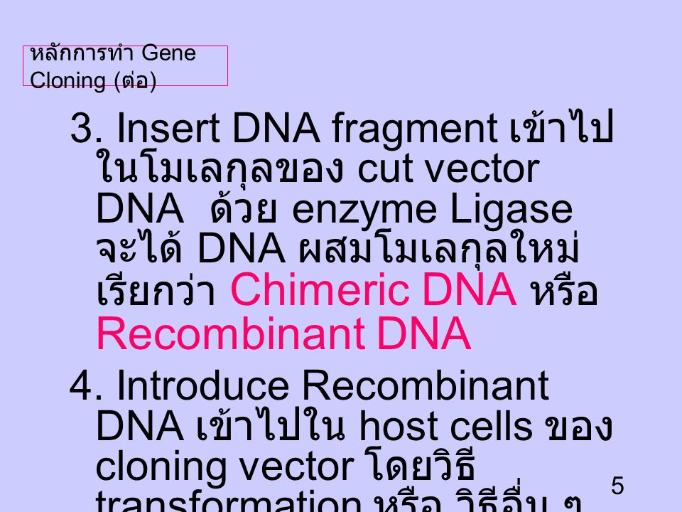 หลักการทำ Gene Cloning (ต่อ)