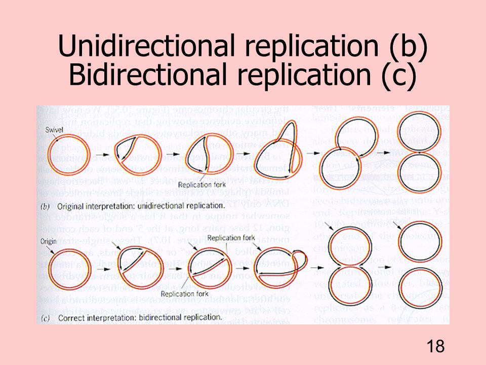 Unidirectional replication (b) Bidirectional replication (c)