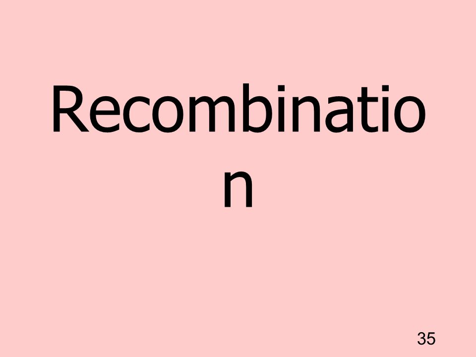 Recombination