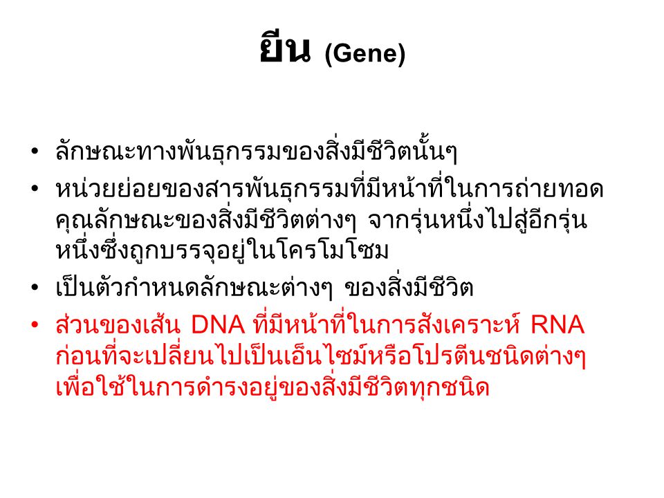 ยีน (Gene) ลักษณะทางพันธุกรรมของสิ่งมีชีวิตนั้นๆ