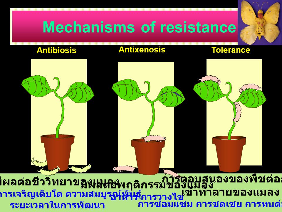 Mechanisms of resistance