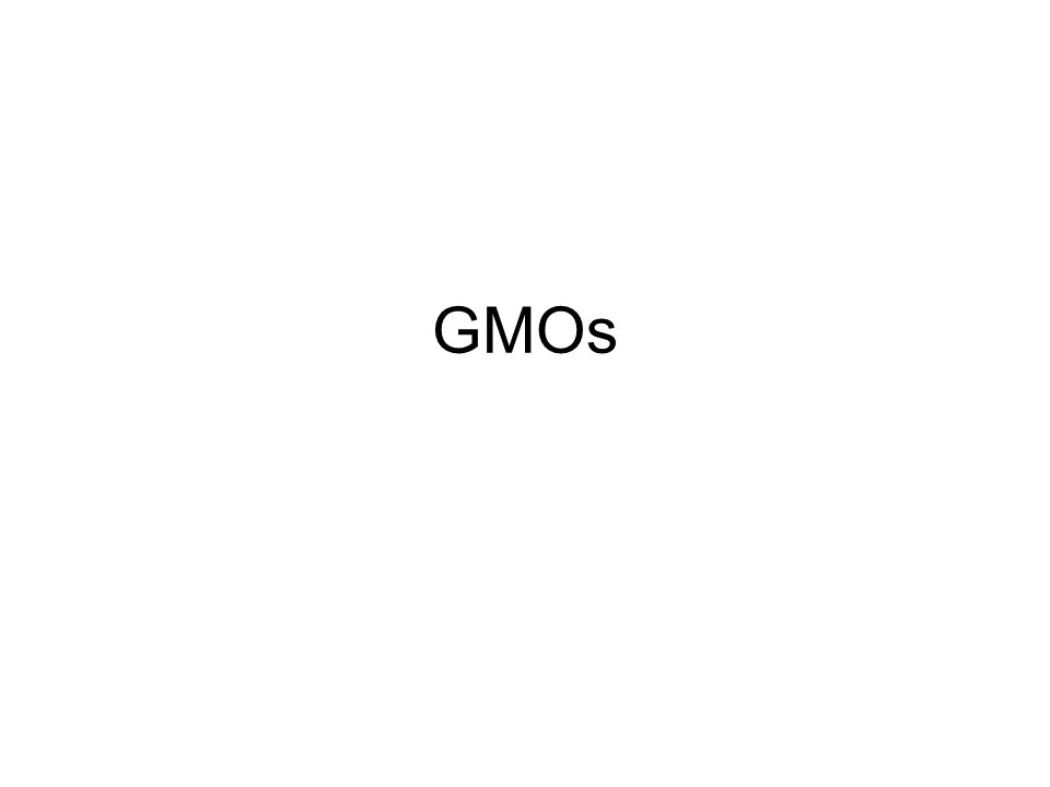 GMOs