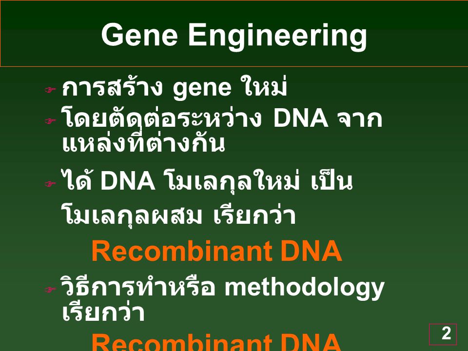 Gene Engineering การสร้าง gene ใหม่