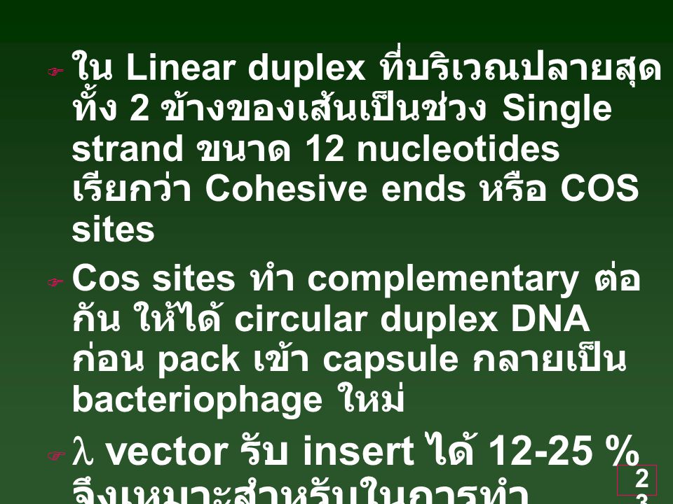 ใน Linear duplex ที่บริเวณปลายสุดทั้ง 2 ข้างของเส้นเป็นช่วง Single strand ขนาด 12 nucleotides เรียกว่า Cohesive ends หรือ COS sites