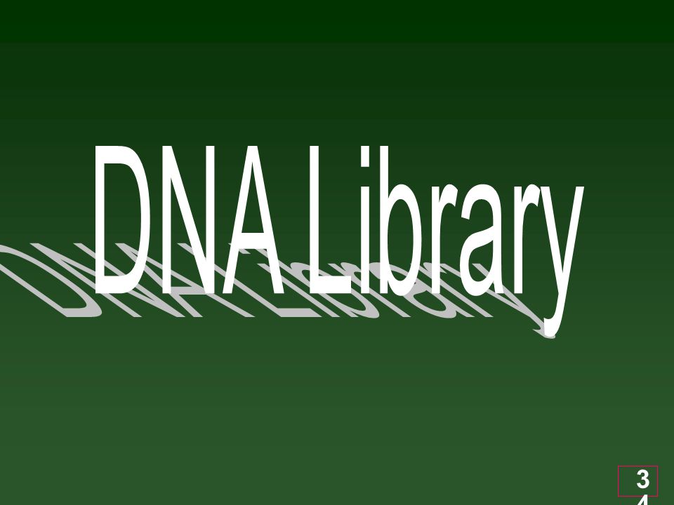 DNA Library