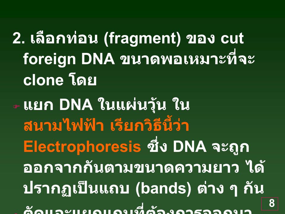 2. เลือกท่อน (fragment) ของ cut foreign DNA ขนาดพอเหมาะที่จะ clone โดย