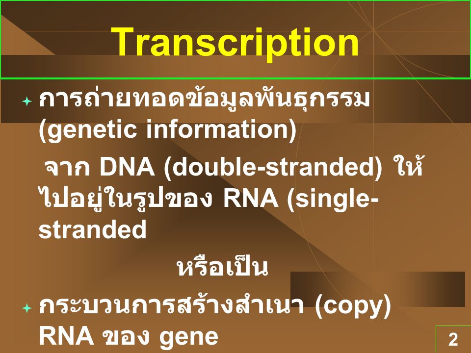 Transcription การถ่ายทอดข้อมูลพันธุกรรม (genetic information)