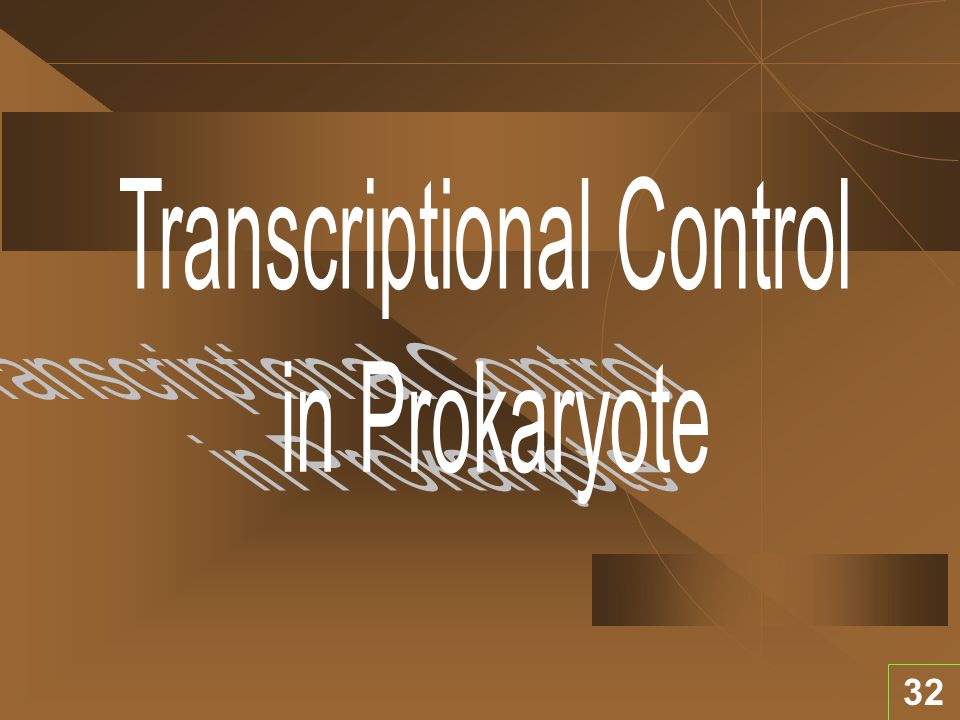 Transcriptional Control