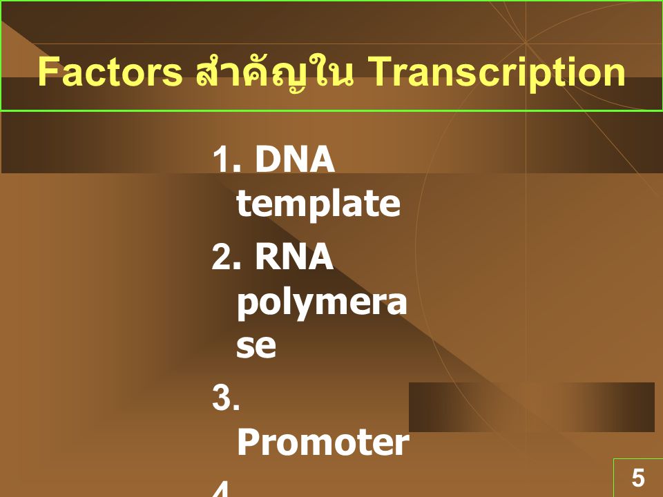 Factors สำคัญใน Transcription