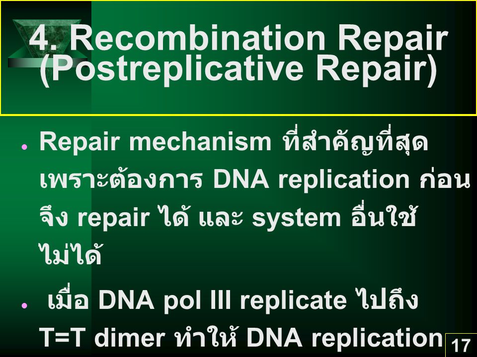 4. Recombination Repair (Postreplicative Repair)