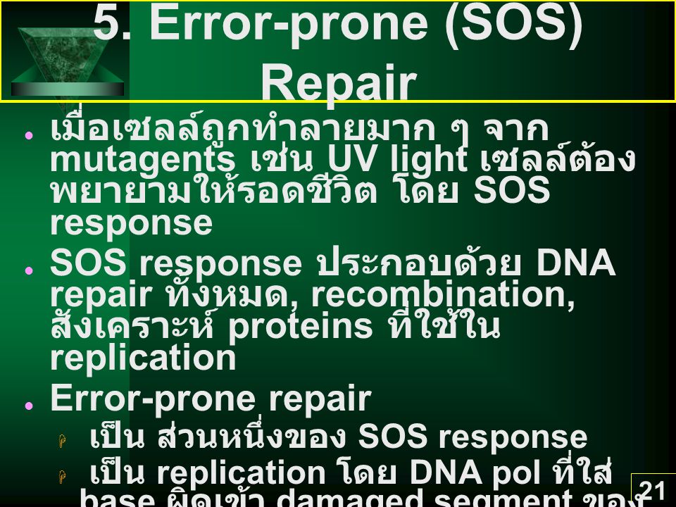 5. Error-prone (SOS) Repair