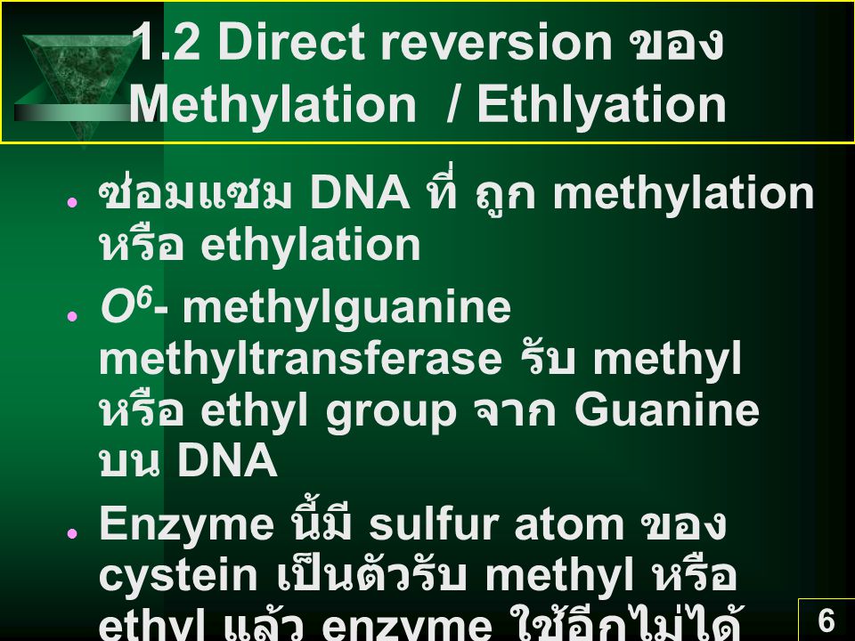 1.2 Direct reversion ของ Methylation / Ethlyation
