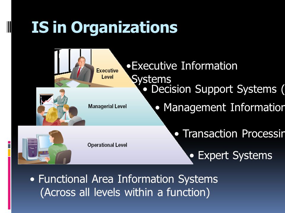 IS in Organizations Executive Information Systems