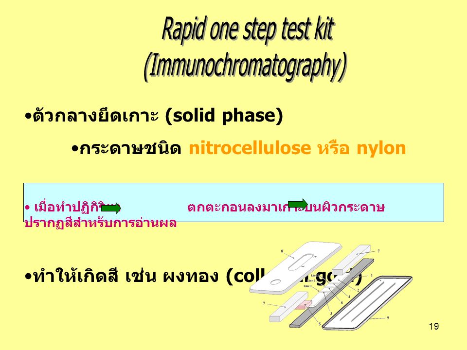 (Immunochromatography)