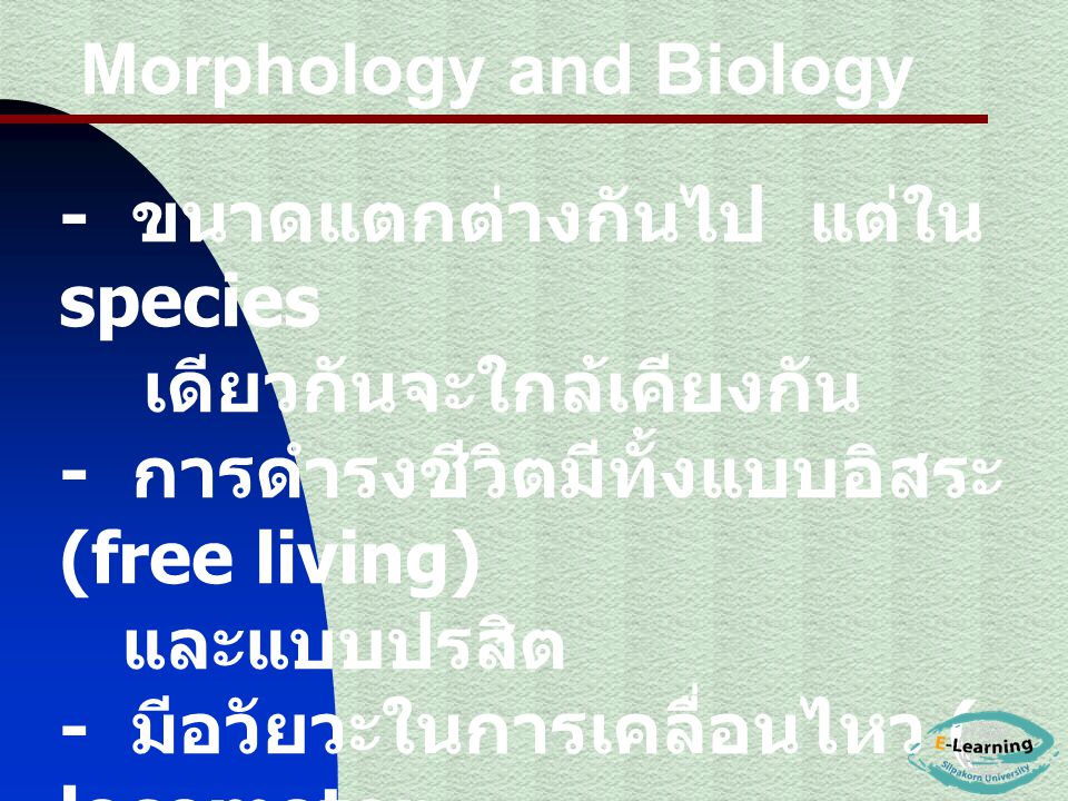 Morphology and Biology