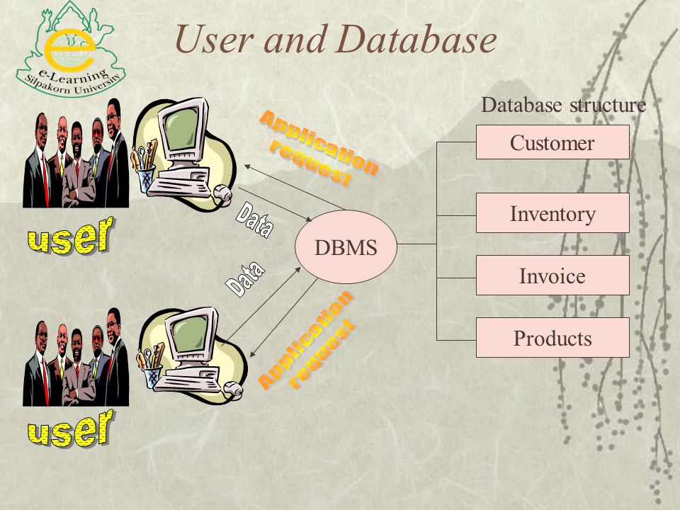 User and Database Database structure Customer Inventory DBMS Invoice