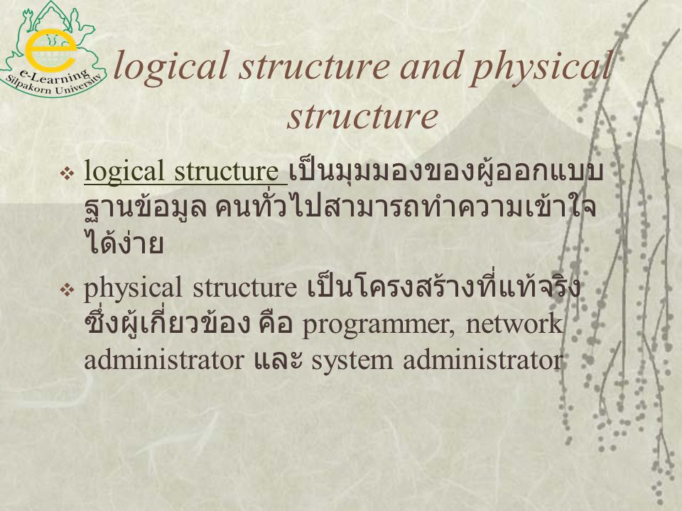 logical structure and physical structure