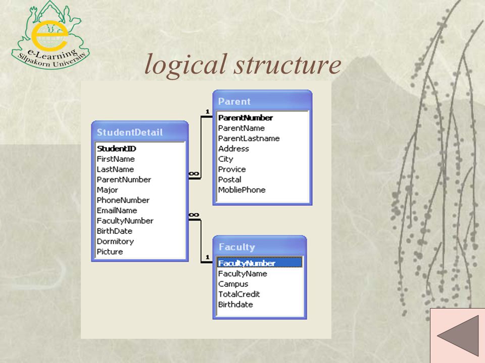 logical structure